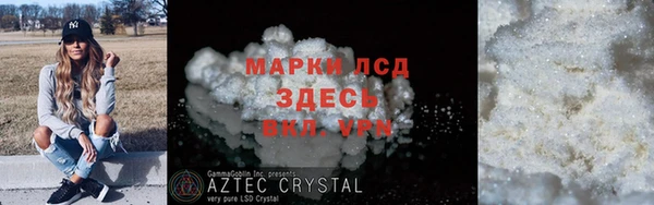 прущие грибы Волосово