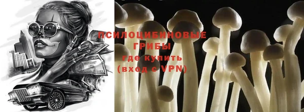 хмурый Верхний Тагил