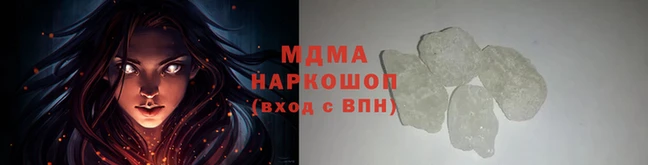 прущие грибы Волосово