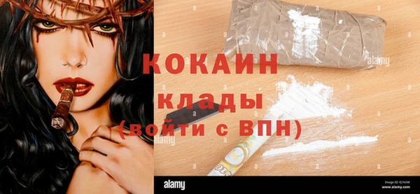 прущие грибы Волосово