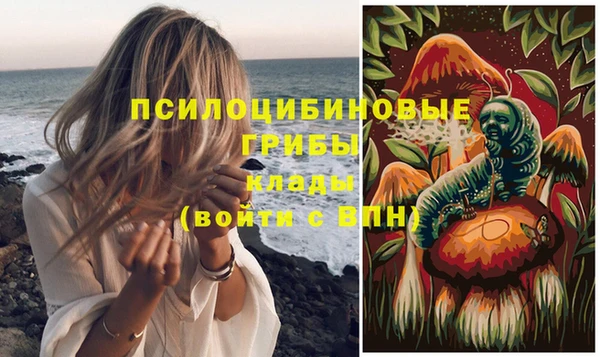 не бодяженный Волоколамск