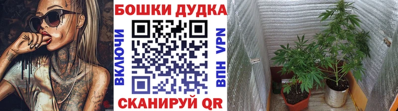 купить наркоту  Гагарин  Каннабис тримм 